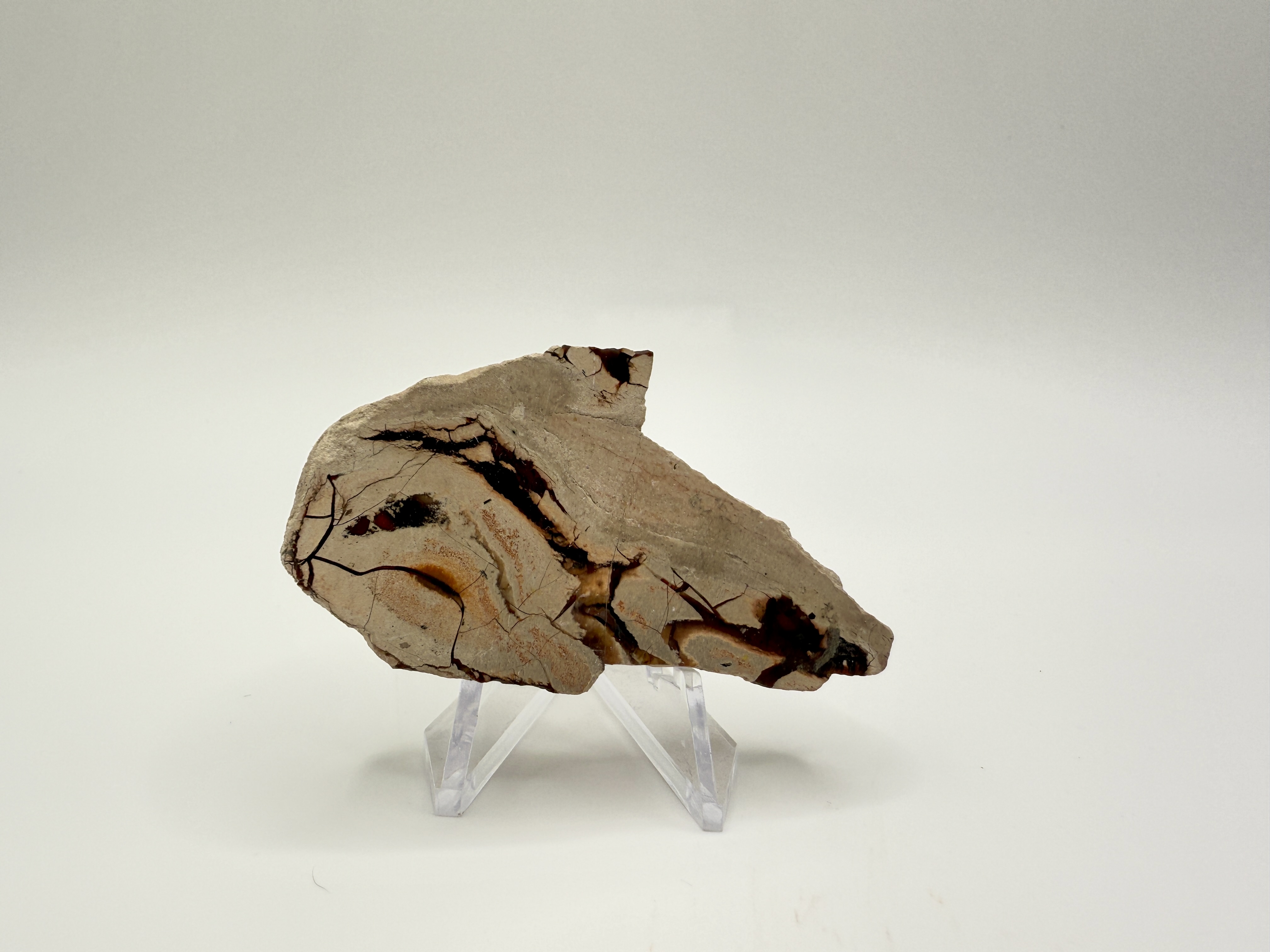 Septarian Stone