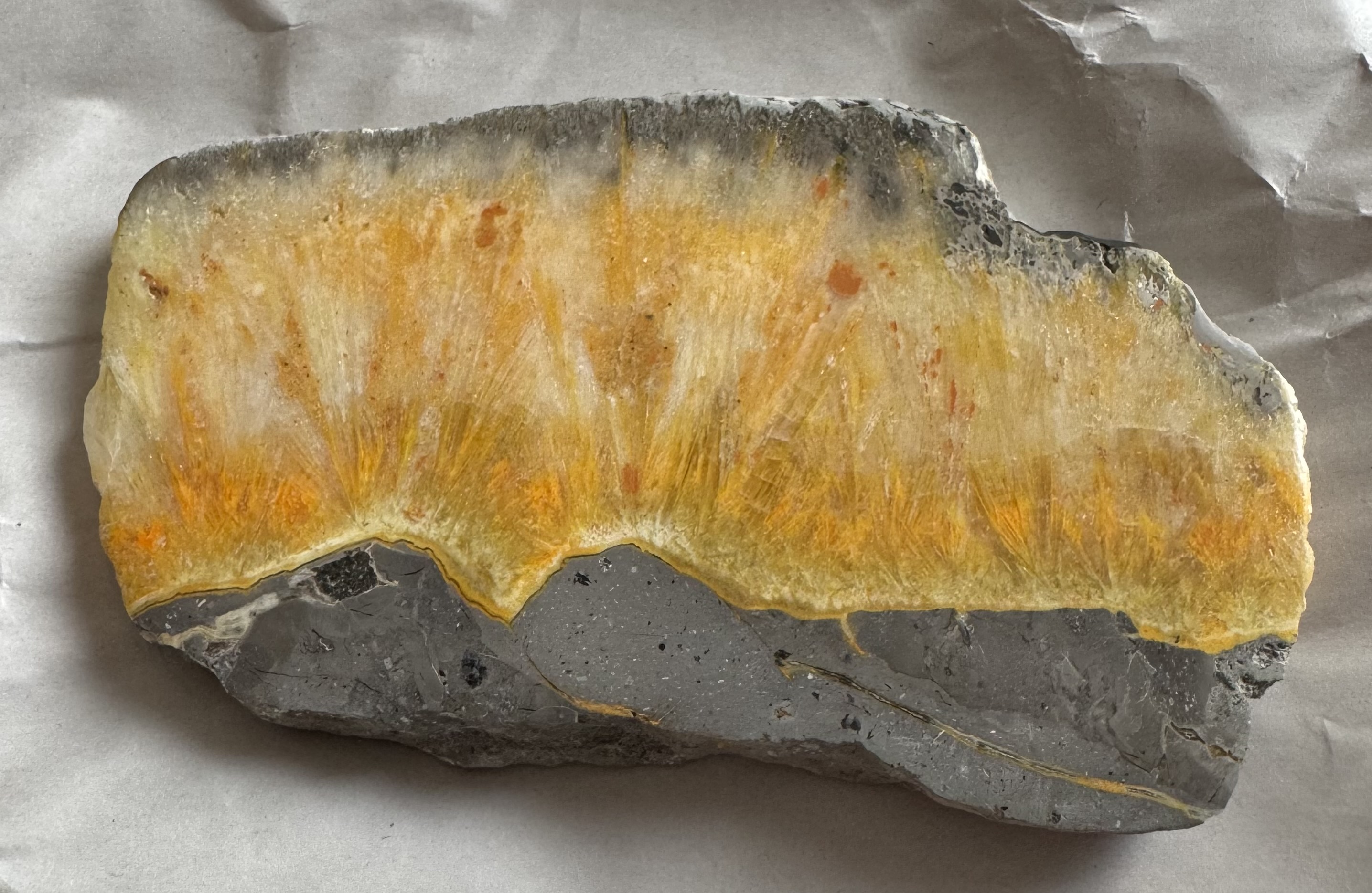 Bumblebee Jasper slab