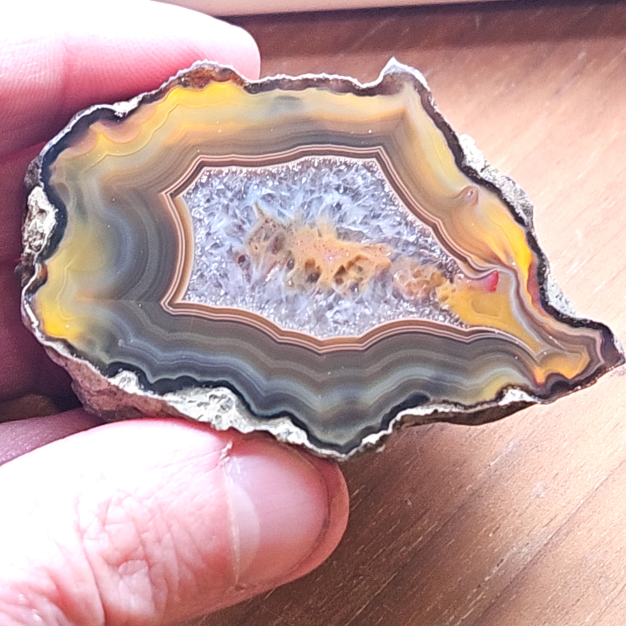Condor Agate