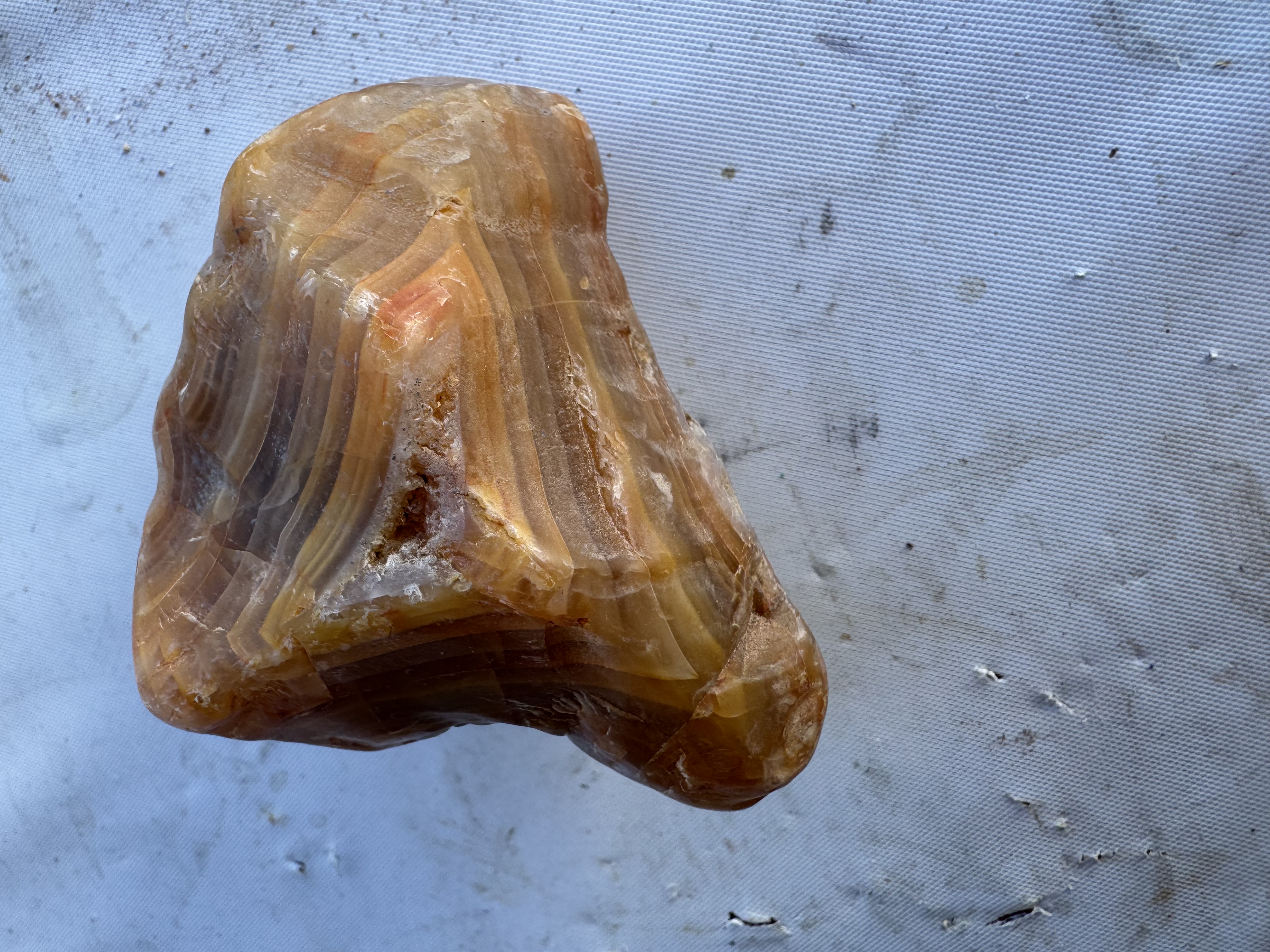Calandria agate