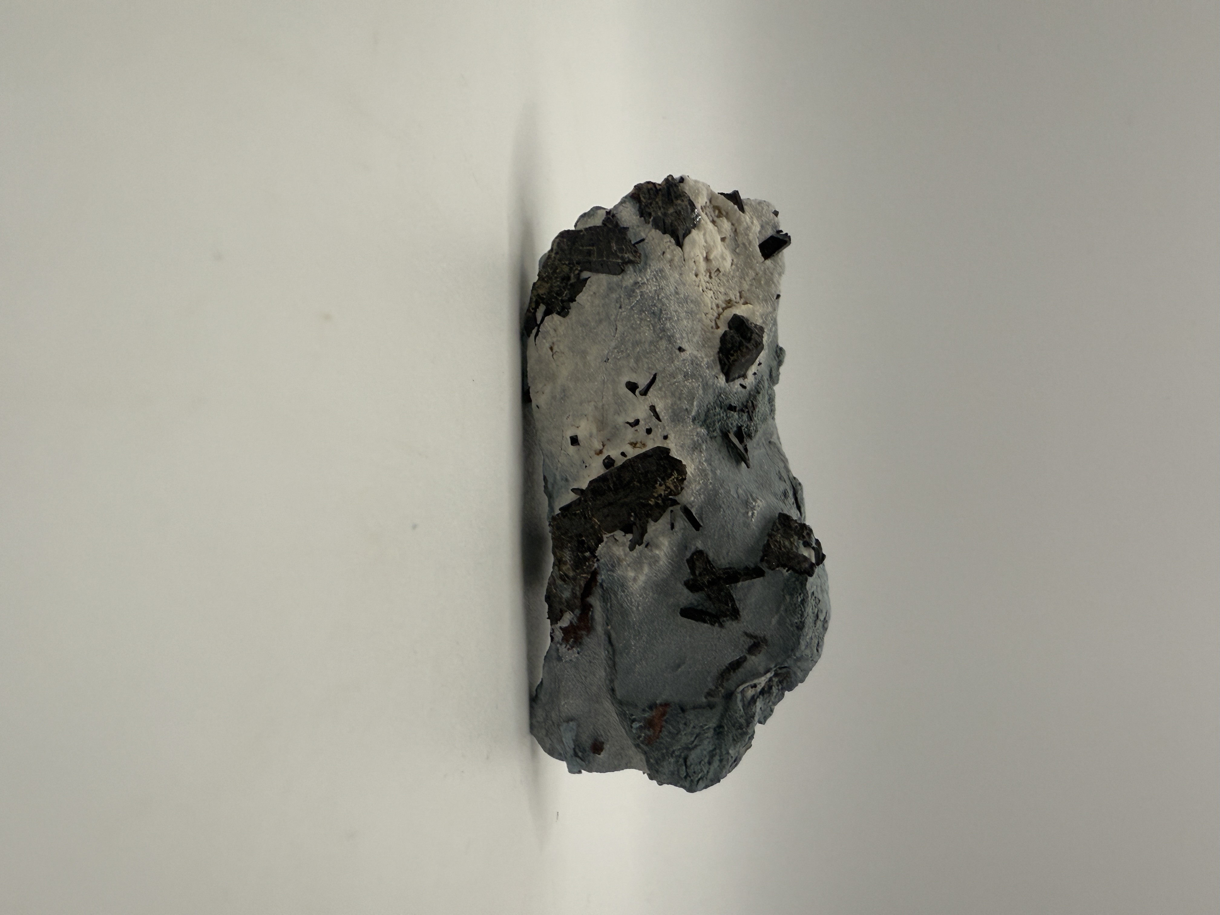 Neptunite