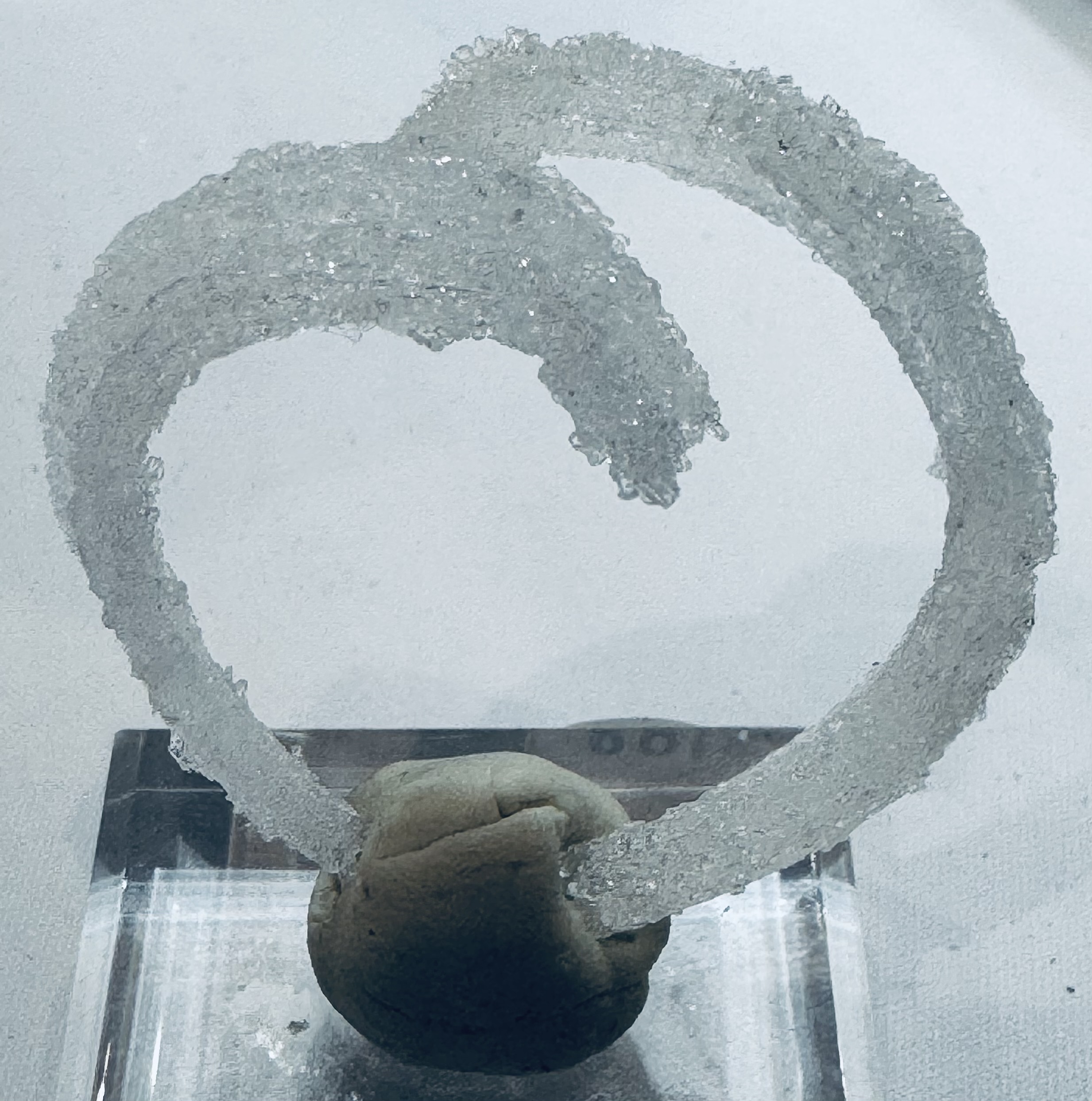 Ram’s Horn