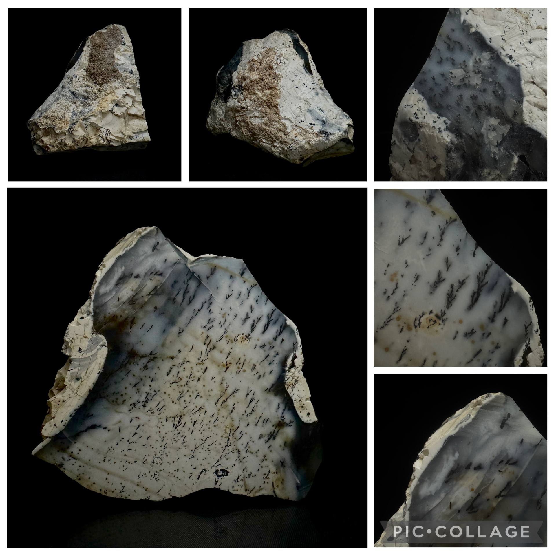 Montana Dendritic Agate