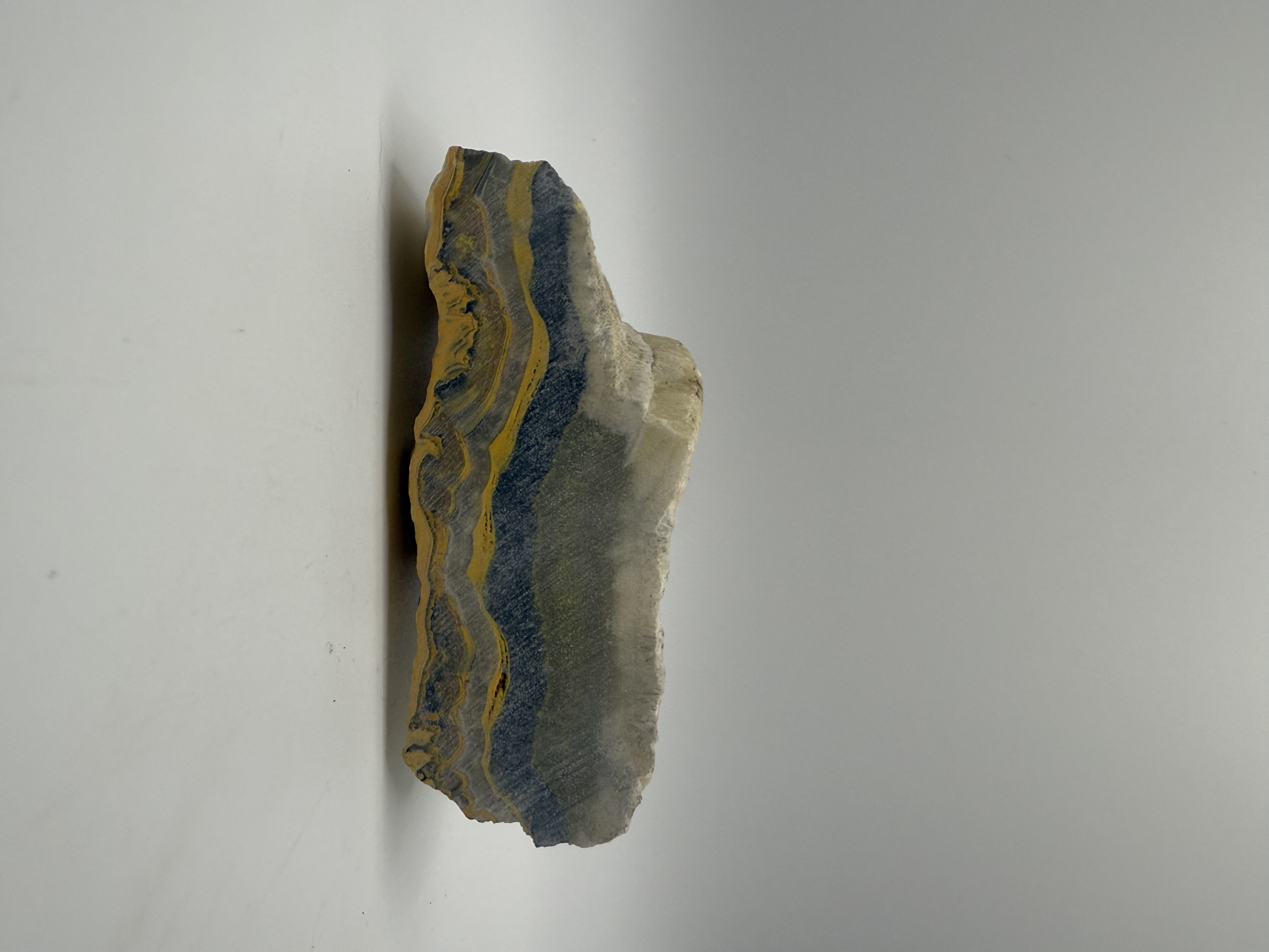 Bumblebee Jasper