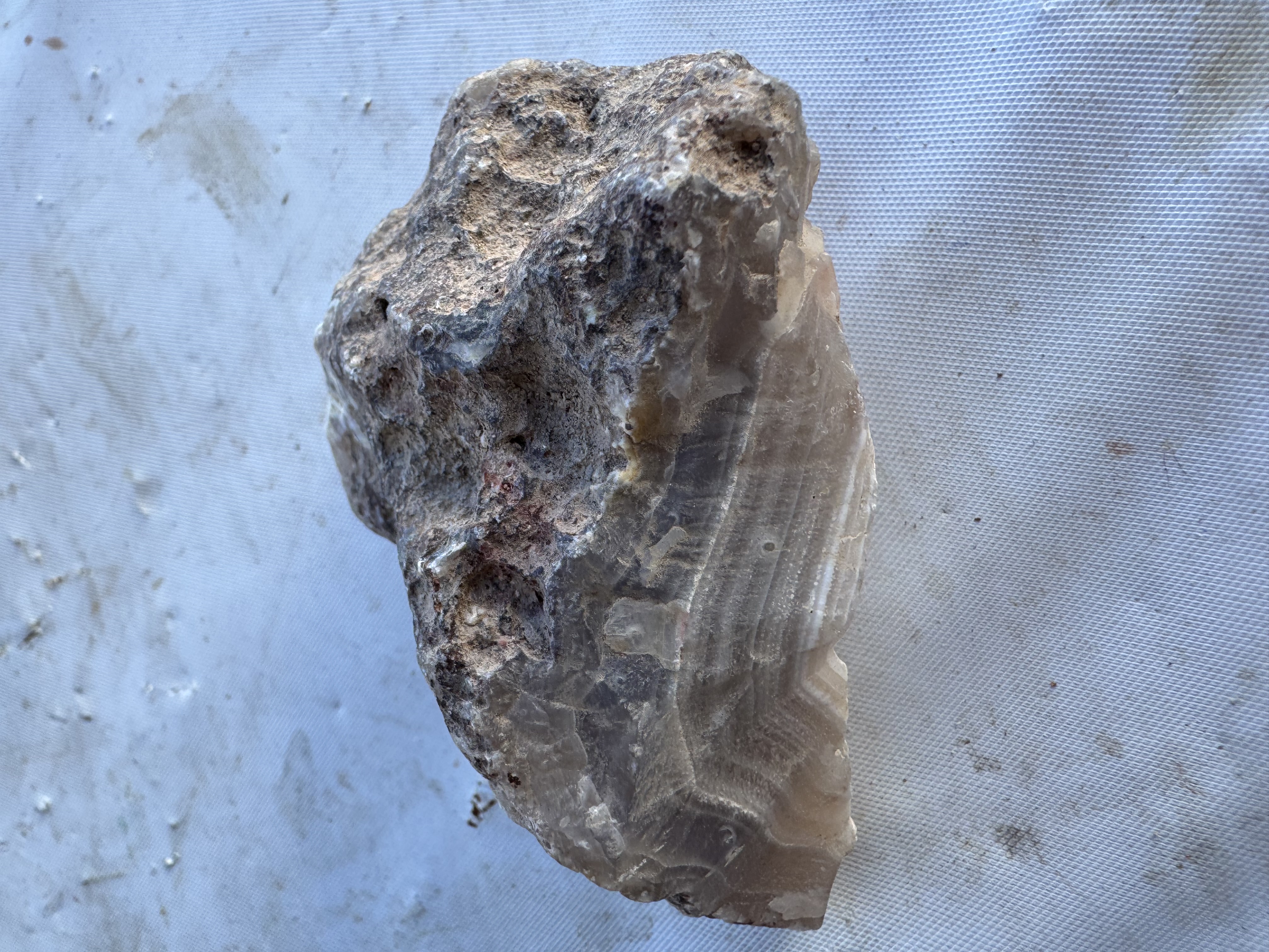 Calandra Agate