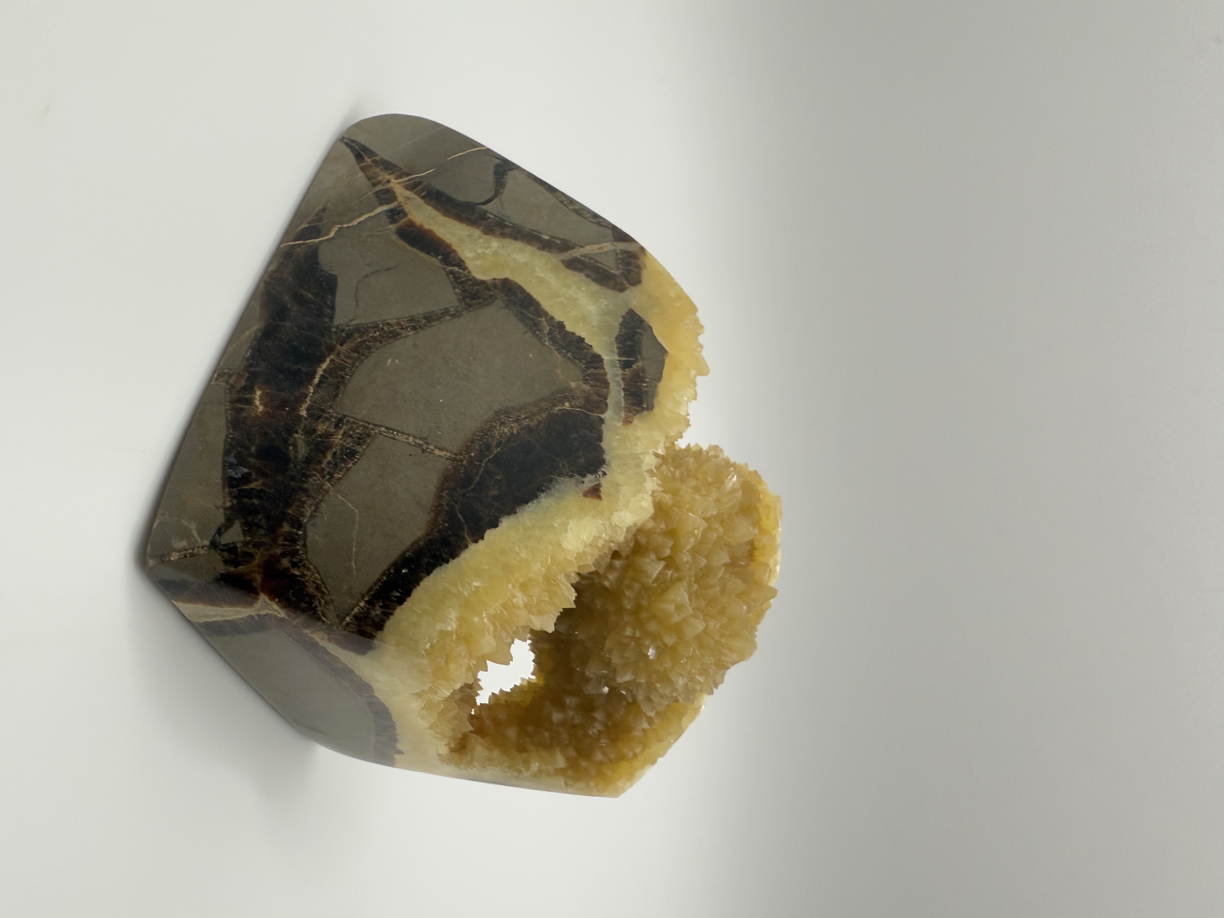 Septarian Nodule