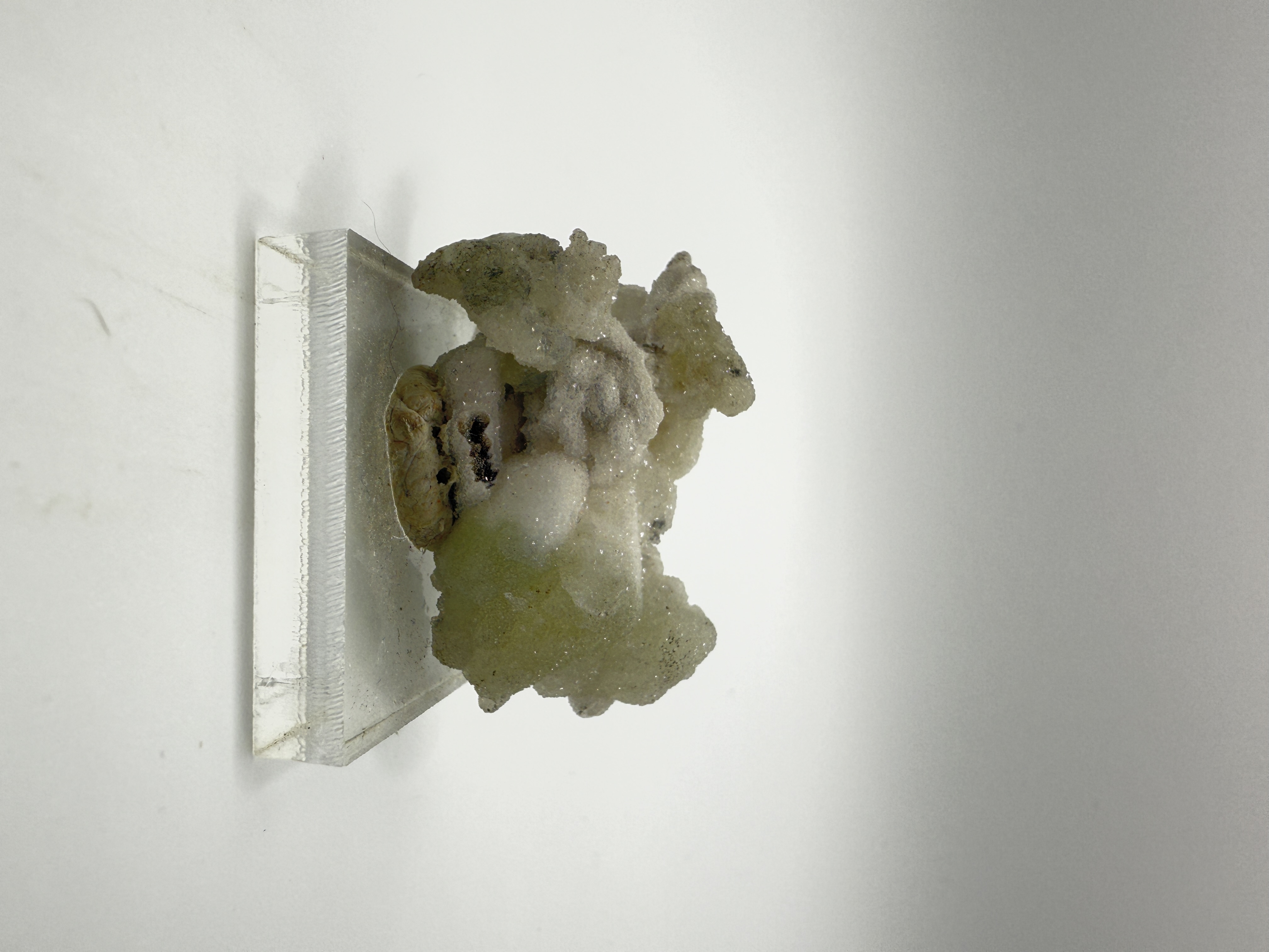 Stilbite on Datolite