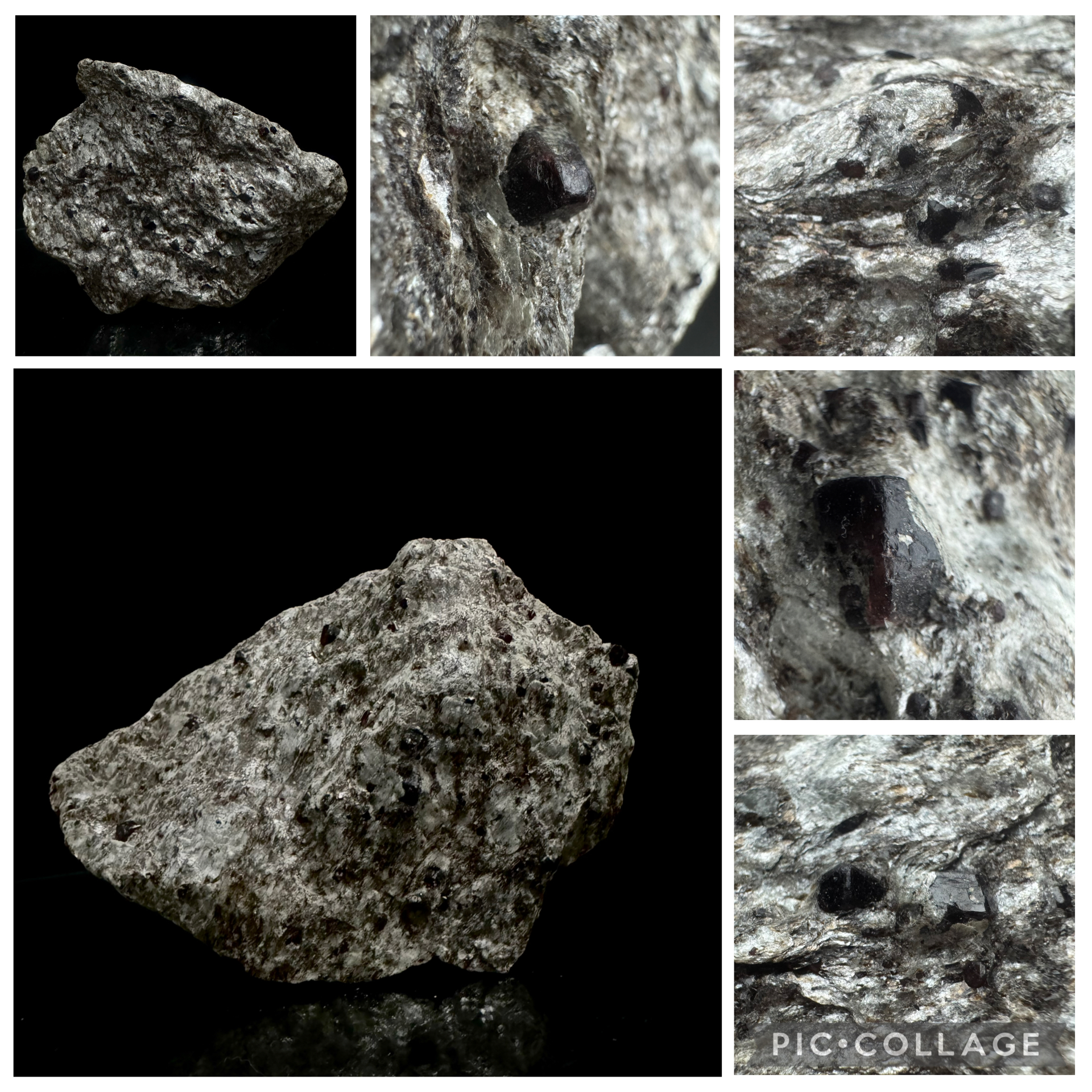 Alaskan Garnet in Muscovite
