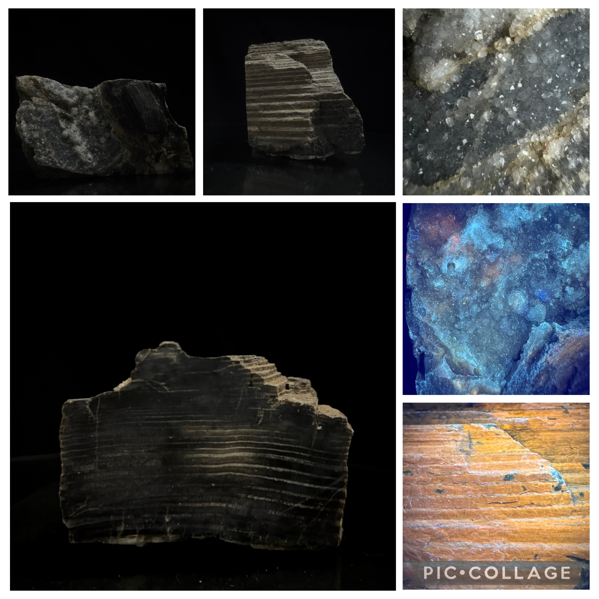 Agatized Petrified Wood (Conifer/Fir) with Druzy Quartz Pocket
