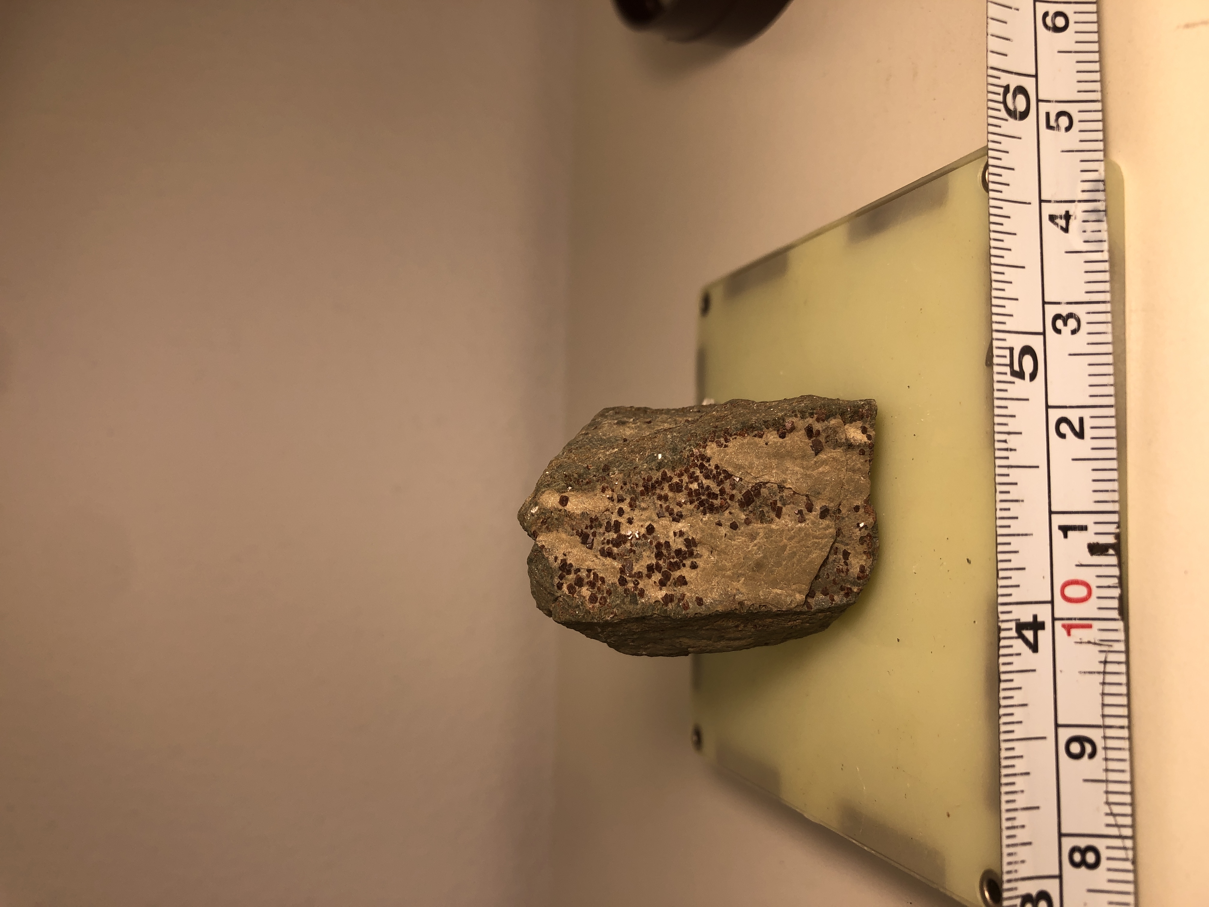 Garnet (Granat) on schist (Schiefer