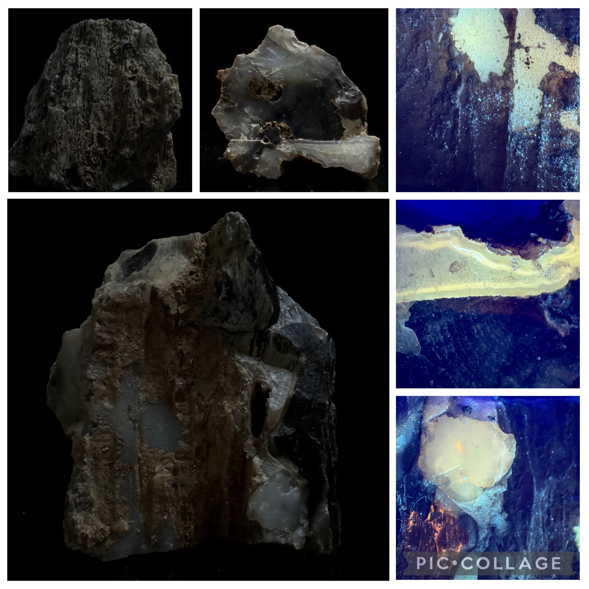 Silicified/Agatized Petrified Wood Section