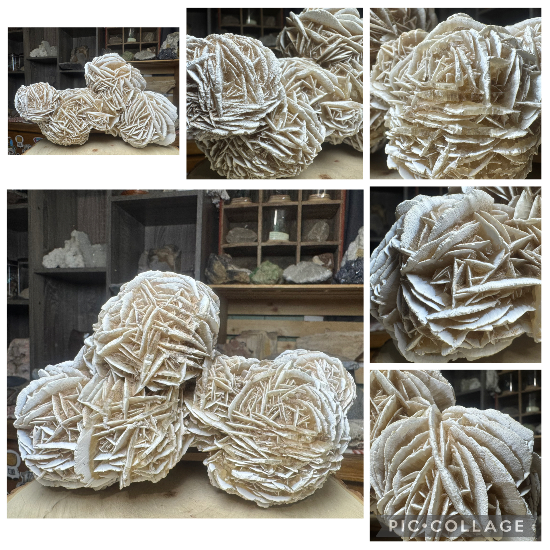 Gypsum Desert Rose Cluster