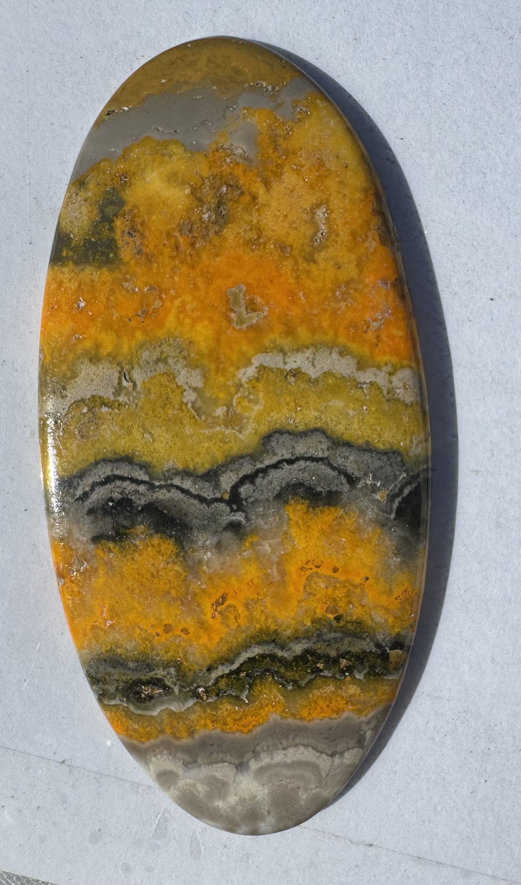 Bumblebee Jasper cabachon